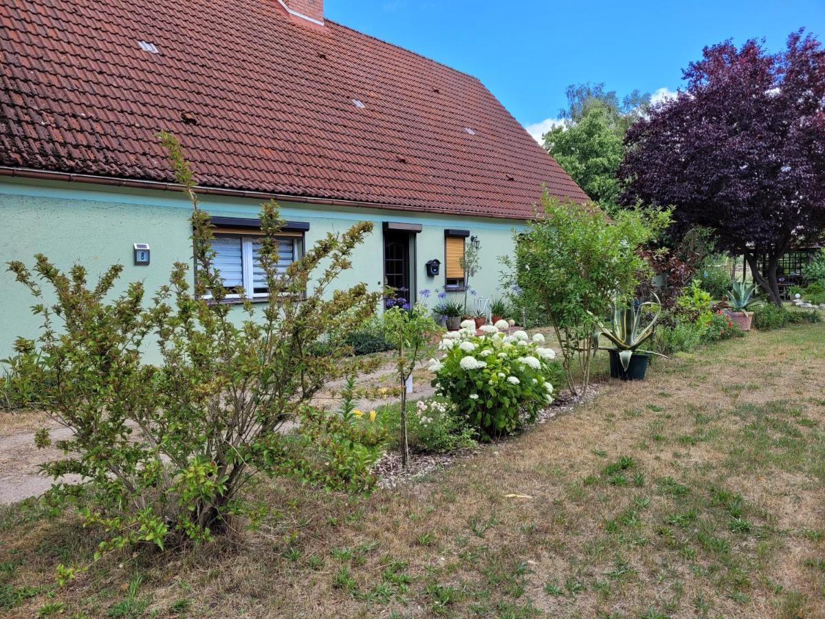 Wohnung Waltraud Plattenburg Exterior foto